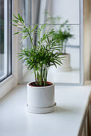 Керамический горшок для растений Mini Plant 9х11,5см Цилиндр Белый