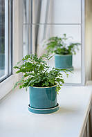 Керамический горшок для растений Mini Plant 9х11,5см Цилиндр Изумрудный