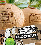  Натуральний кокосовий горіх, кокосова вода, Genuine Coconut, 280 мл, Lsi, фото 7
