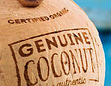 Натуральний кокосовий горіх, кокосова вода, Genuine Coconut, 280 мл, Lsi, фото 6