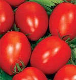 Насіння томату Іскорка 0,2 г, фото 2