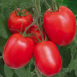 Насіння Томату Рiо-Гранде (0.15г), For Hobby, TM GL Seeds, фото 3
