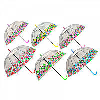 Зонт Цветы прозрачная клеенка CLG17202