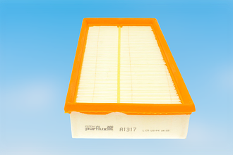 Повітряний фільтр на Renault Koleos 2.0 dci - Purflux A1317