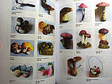 Прайс-каталог Колекційні ялинкові прикраси та листівки, фото 4
