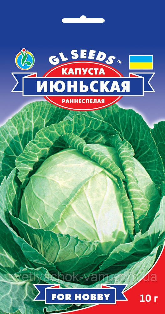 Капуста Червнева белокочаная пластичний ранньостиглий сорт з високими смаковими якостями, упаковка 10 г