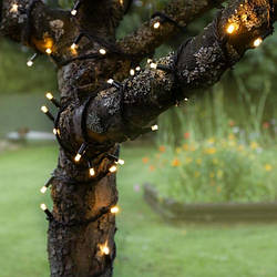 ОПТОМ Гірлянда вулична Нитка, Промінь LedGO 10 м 100 LED / IP44, чорний дріт, асортимент