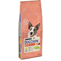 Сухой корм для взрослых собак с высоким уровнем активности PURINA Dog Chow Active Chicken с курицей 14 кг