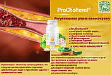 ПроХолтерол регулювання рівня холестерину Польща, фото 4