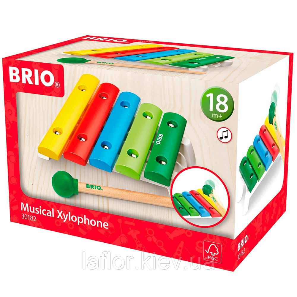 Музичний інструмент Brio Ксилофон