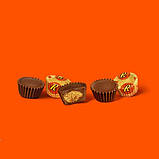 Шоколад Reese's Miniatures Cups Family size 498g, фото 2