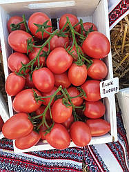 Пінк піонер F1/Pink Pioneer F1 — Томат індетермінантний, Sakata. 1000 насіння