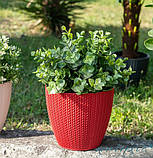 Горщик для квітів Sumela 5 л червоний, фото 6