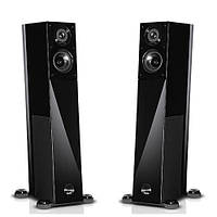 Audio Physic Virgo III Black