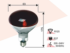 Лампа для обігрівання Червона 125W E27