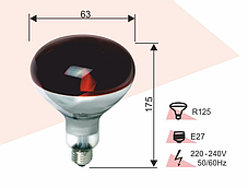 Лампа для обігріву Червона 125W E27