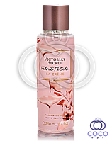 Парфюмированный спрей для тела Victoria`s Secret Velvet Petals La Creme 250 ml