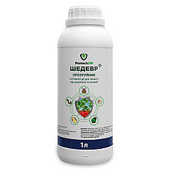 Протруйник Шедевр 1 л ProtectON