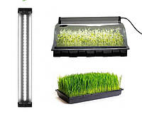 Пророщувач для насіння з лотком і лампою для зростання мікрозелені