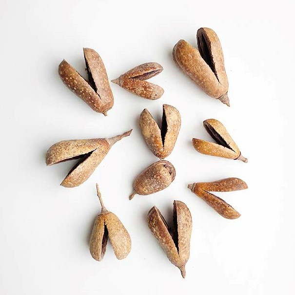 Сухоцвіт 80-90 шт, фото 1