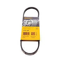 Ремінь 3PK648 Contitech (Німеччина) генератора поліклинові | многоручейковый 3РК 648