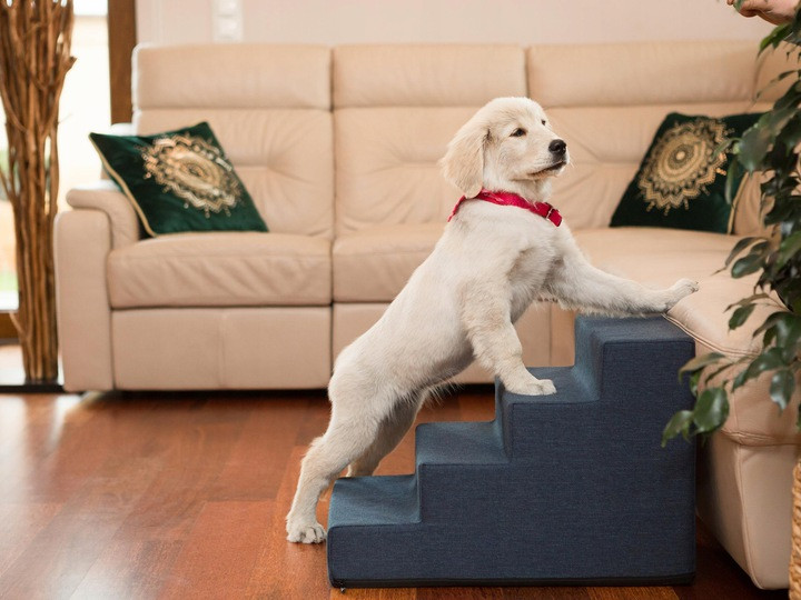 М'яка приставна драбина, щаблі для собак або кішок, 40 см, розмір L, темно-синій