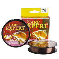 Волосінь Carp Expert UV 150m 0.17 mm