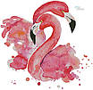 Набір для вишивання за нанесеною на канву схемою "Flamingo dance". AIDA 14CT printed 32*38 см, фото 10