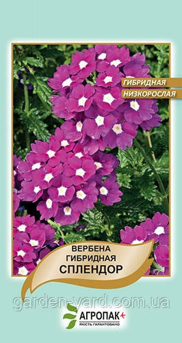 Насіння квітів Вербена гібридна Спледор Агропак плюс