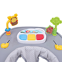 Ходунки 4Baby Walk'n Push (колір - dark grey), фото 5