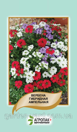 Насіння квітів Вербена гібридна ампельна Агропак