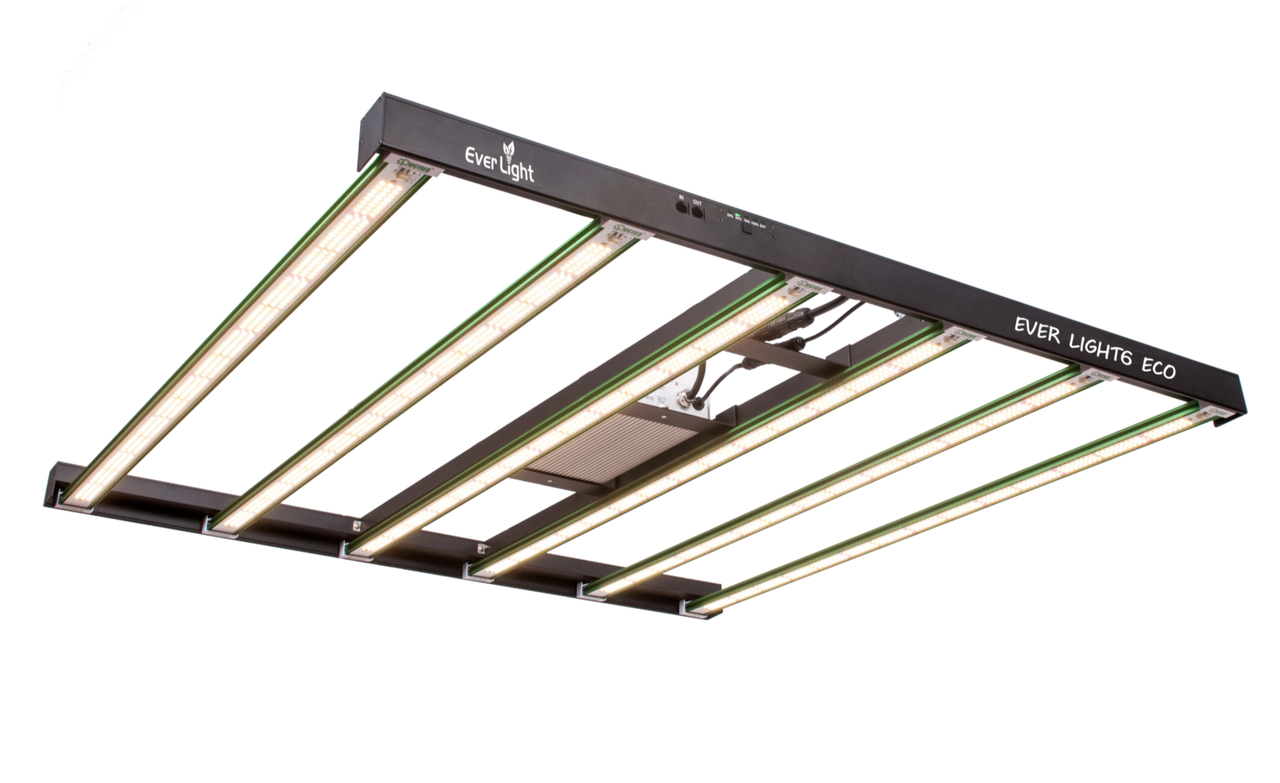 LED лампа для рослин, лампи для теплиць, фітолампа в гроубокс, 600W ECO Lucius Full Spectrum