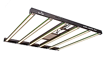 LED лампа для рослин, лампи для теплиць, фітолампа в гроубокс, 600W ECO Lucius Full Spectrum