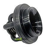 Клапан насоса обприскувача P100 P100S P110D P145 Агропласт AP20ZP Agroplast, фото 2