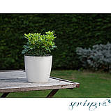 Горщик для квітів Ruby 1,9 л біло-сірий, фото 3