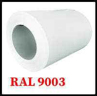 Рулонна сталь ZN 140/0,47/Ral 9003/Cina