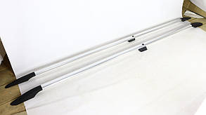 Рейлінги (метал. кроншт., ALM) Mercedes W638 1995-2003