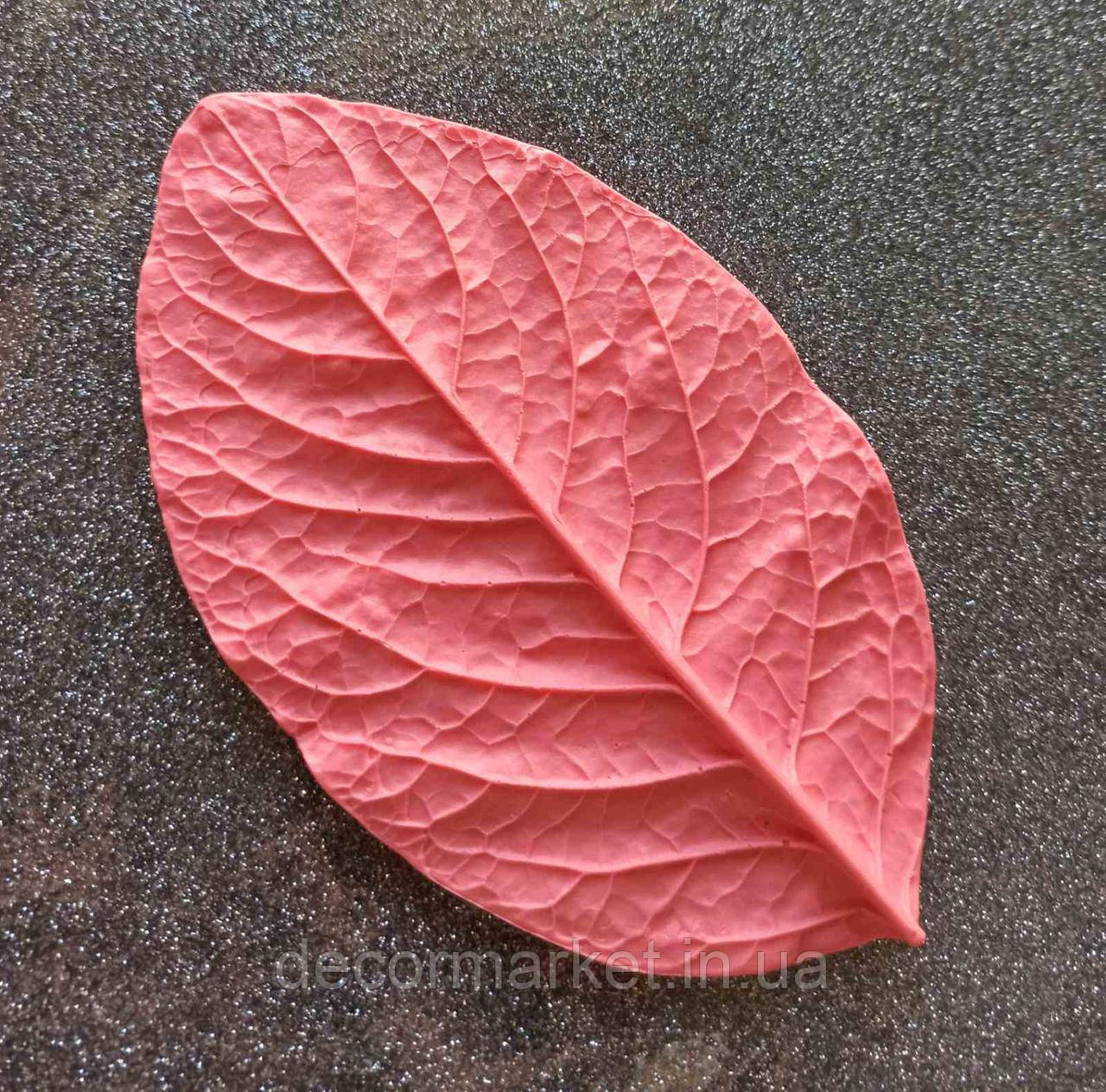 Молд "Лист універсальний" 15,5х9,5 см для паросткових квітів, фото 1
