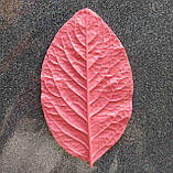 Молд "Лист універсальний" 15,5х9,5 см для паросткових квітів, фото 2