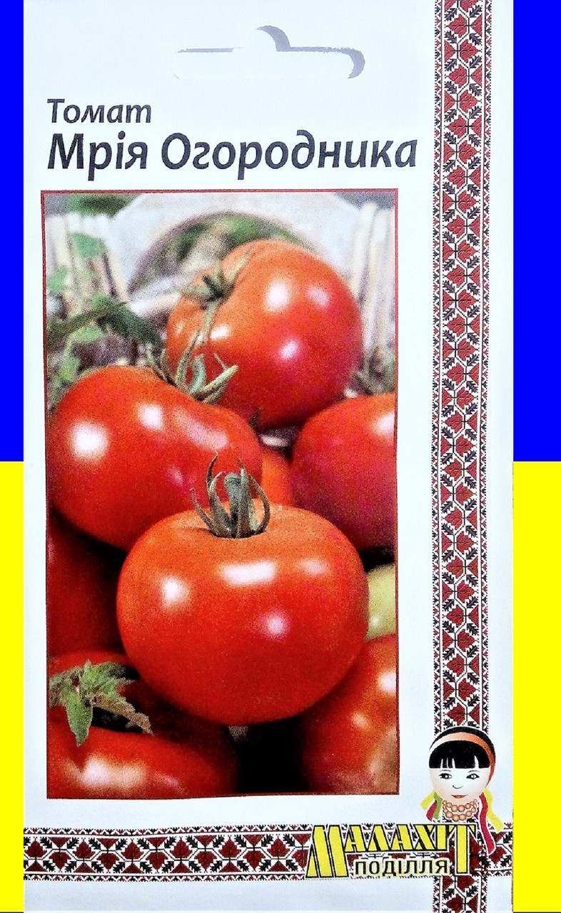 Українські садівники та їх мрія о врожайних томатах