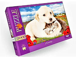 Пазл класичний Danko Toys, Friedship" Дружба 2000 елементів С2000-01-09 Пазли та головоломки
