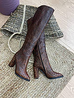 Стильные женские ботфорты высокие сапоги кожаные коричневые. Сапоги для женщин коричневого цвета деми, зимние