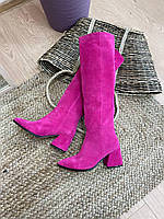 Стильные женские сапоги замшевые натуральные на каблуке розовые, фуксия. Сапоги для женщин весенние, зимние