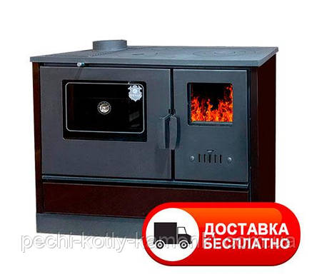Піч ЕК-4020 Duval SUREL (дров'яна опалювально-варильна з духовкою), фото 1
