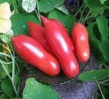 Насіння Томату Дамський пальчик (0.1г), For Hobby, TM GL Seeds, фото 2