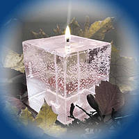 Вогонь та лід