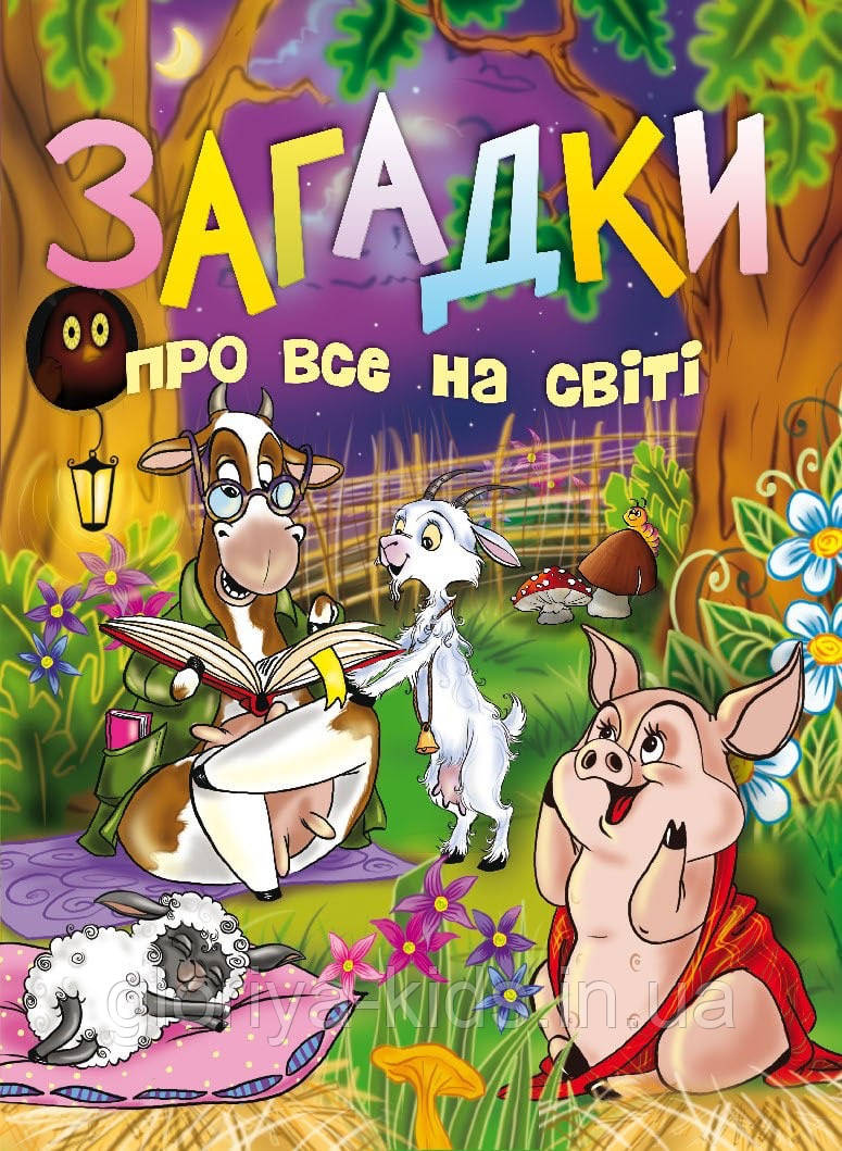Книжка Загадки про все на світі