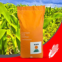Семена кукурузы КВС Богатырь (KWS) ФАО - 290