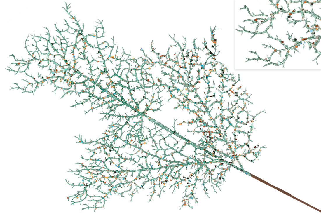 Декоративна гілка Корал 80см, колір - бірюзовий гліттер - 12 шт УПАКОВКА ТОВАР ВІД ВИРОБНИКА
