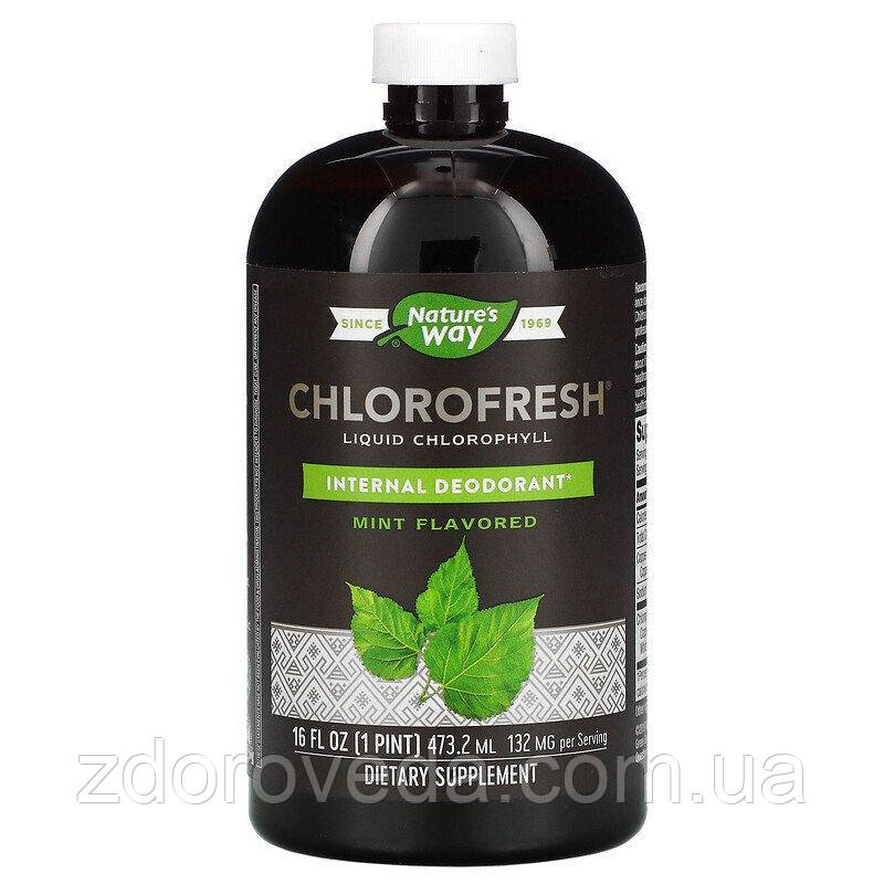 Хлорофіл рідкий з ароматом м'яти, Nature's Way Chlorofresh, 473 мл, детокс, фото 1